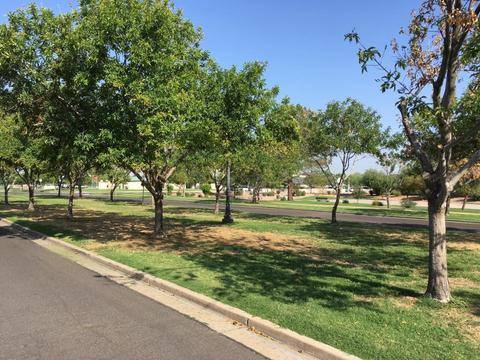3759 E Park Ave, Gilbert, AZ 85234 photo 4