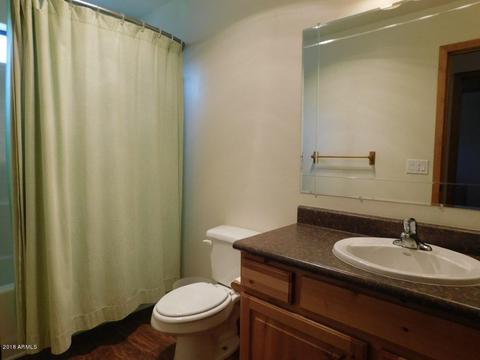 2867 Wahoo Rd, Overgaard, AZ 85933 photo 25