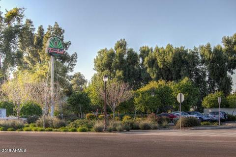 3730 E Orchid Ct, Gilbert, AZ 85296 photo 42