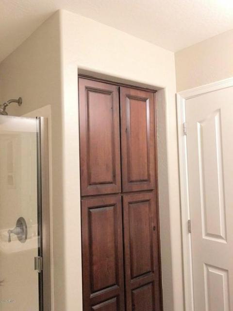 2689 E Bart St, Gilbert, AZ 85295 photo 17
