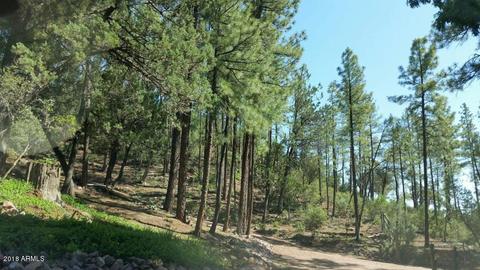3877 Whispering Pines Rd, Pine, AZ 85544 photo 23