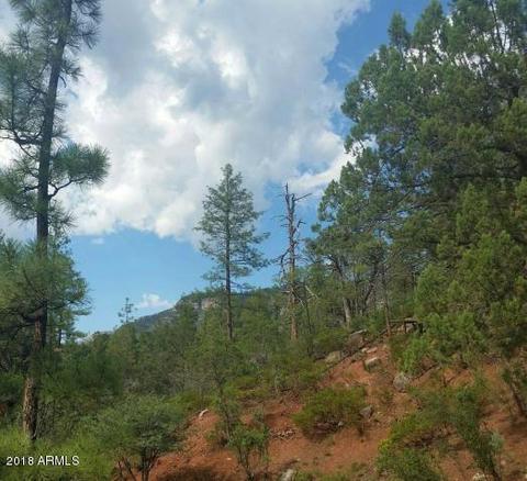 3877 Whispering Pines Rd, Pine, AZ 85544 photo 2