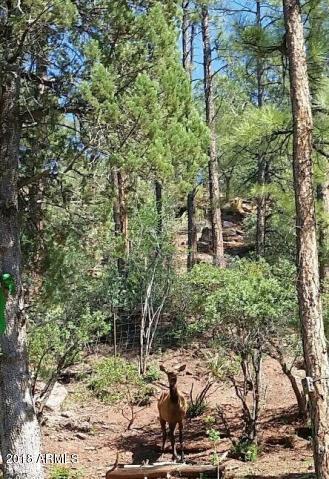 3877 Whispering Pines Rd, Pine, AZ 85544 photo 28