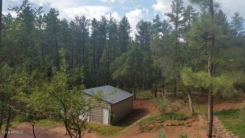 3877 Whispering Pines Rd, Pine, AZ 85544 photo 30