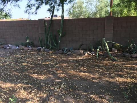 615 E Osage Ave, Apache Junction, AZ 85119 photo 24