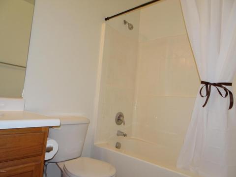 23858 N Greer Loop, Florence, AZ 85132 photo 10