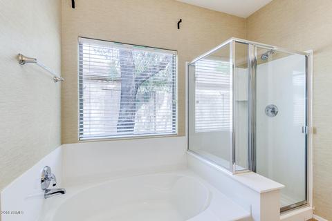10028 E Lakeview Cir, Mesa, AZ 85209 photo 24