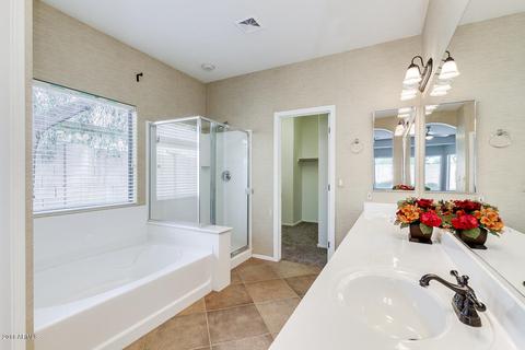 10028 E Lakeview Cir, Mesa, AZ 85209 photo 23
