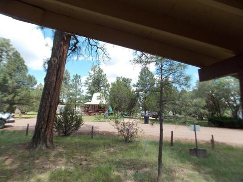 2852 Timber Trail Loop, Overgaard, AZ 85933 photo 16