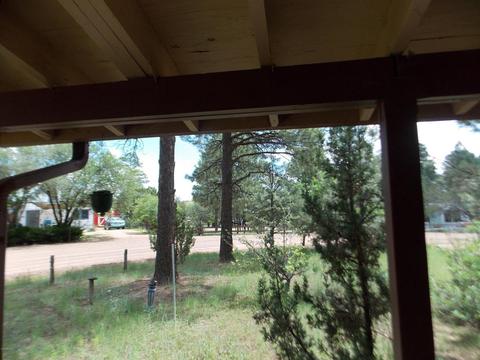 2852 Timber Trail Loop, Overgaard, AZ 85933 photo 15