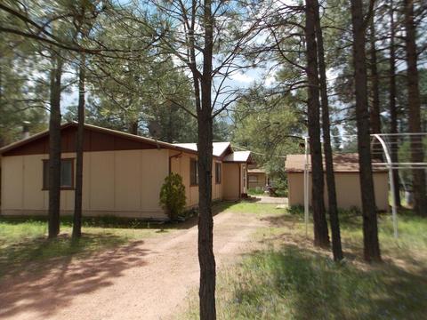 2852 Timber Trail Loop, Overgaard, AZ 85933 photo 3