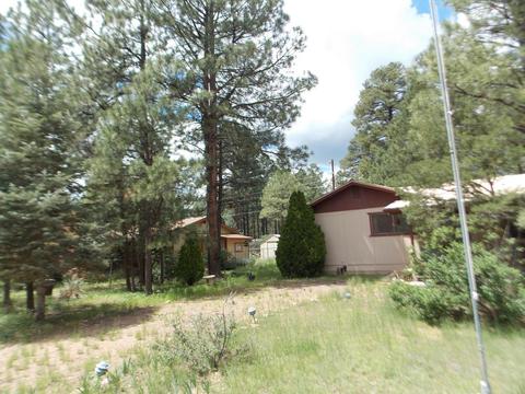 2852 Timber Trail Loop, Overgaard, AZ 85933 photo 17