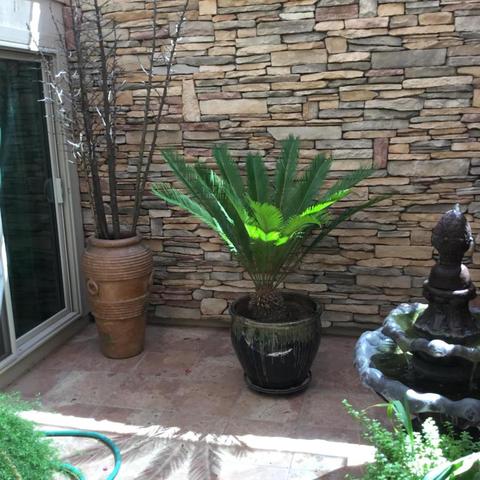 2084 E Alameda Dr, Tempe, AZ 85282 photo 19