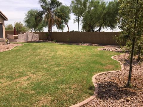 391 E Frances Ln, Gilbert, AZ 85295 photo 43
