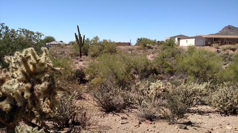 1450 W Canyon St, Apache Junction, AZ 85120 photo 4