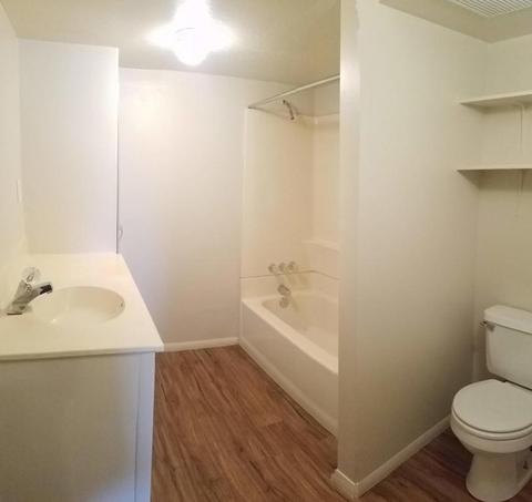 2717 E Kelton Ln, Phoenix, AZ 85032 photo 14
