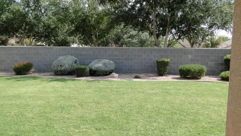 2317 E Robin Ln, Gilbert, AZ 85296 photo 15