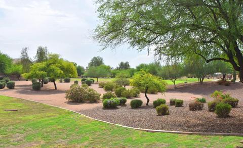 517 N Emery --, Mesa, AZ 85207 photo 24