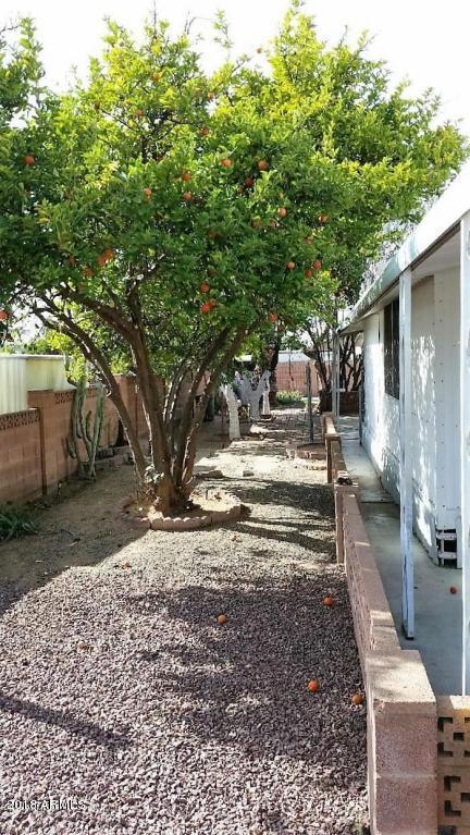 620 S 93rd St, Mesa, AZ 85208 photo 2