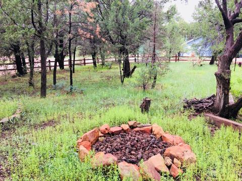 2127 Bluejay Rd, Overgaard, AZ 85933 photo 20