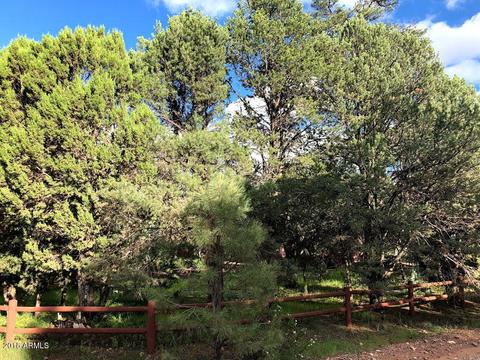 2127 Bluejay Rd, Overgaard, AZ 85933 photo 17