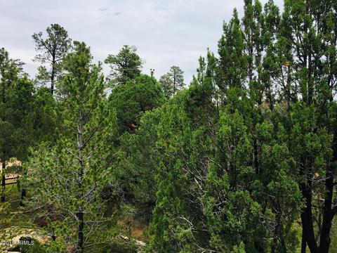2127 Bluejay Rd, Overgaard, AZ 85933 photo 3