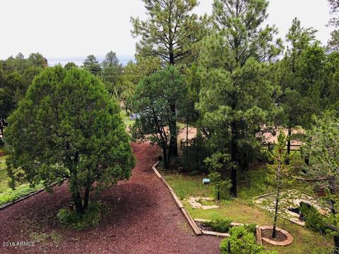 2127 Bluejay Rd, Overgaard, AZ 85933 photo 19