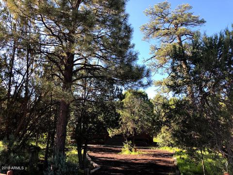 2127 Bluejay Rd, Overgaard, AZ 85933 photo 15