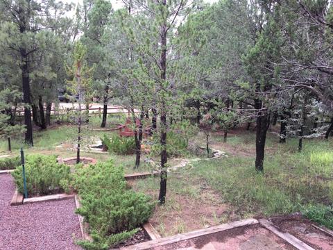 2127 Bluejay Rd, Overgaard, AZ 85933 photo 23