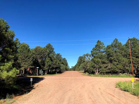 2127 Bluejay Rd, Overgaard, AZ 85933 photo 24