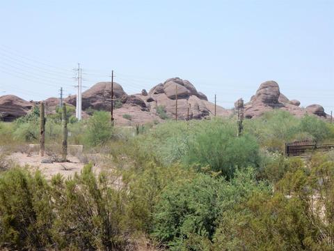 27 E Fillmore St, Tempe, AZ 85288 photo 19