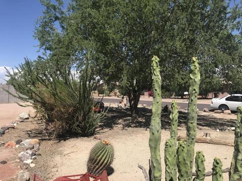 1618 S Cactus Rd, Apache Junction, AZ 85119 photo 22