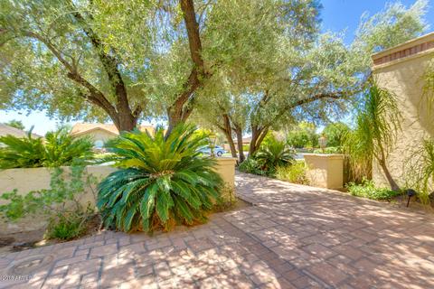 1924 E Hope St, Mesa, AZ 85203 photo 6