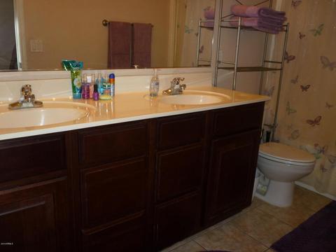 1210 E Pedro Rd, Phoenix, AZ 85042 photo 46