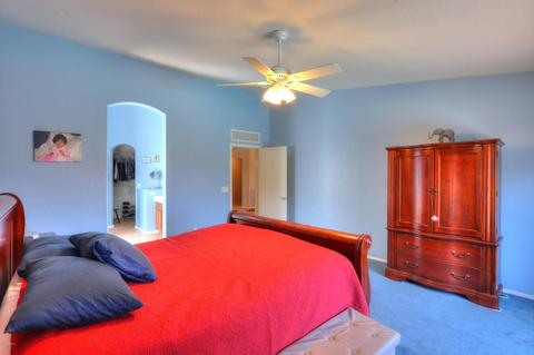 10434 E Dolphin Ave, Mesa, AZ 85208 photo 33