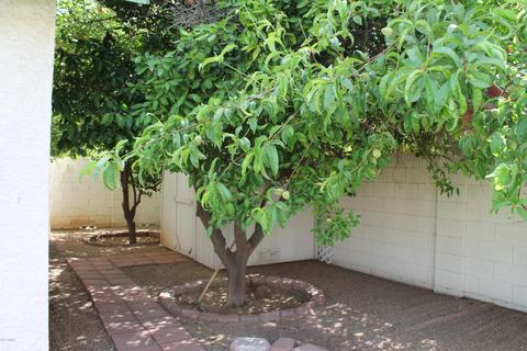4310 E Beck Ln, Phoenix, AZ 85032 photo 32