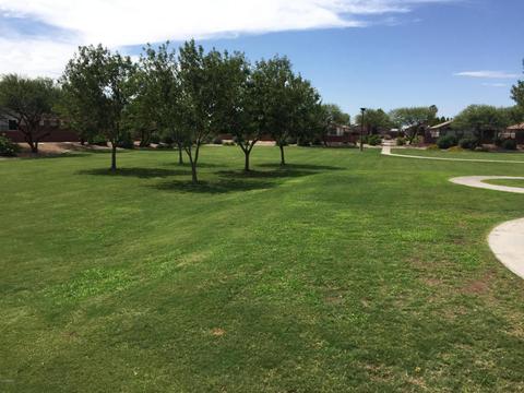 9943 Empress Ave, Mesa, AZ 85208 photo 24