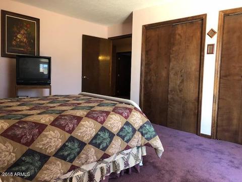 9120 W Tomahawk Trl, Pine, AZ 85544 photo 25