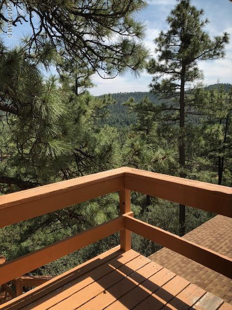9120 W Tomahawk Trl, Pine, AZ 85544 photo 5