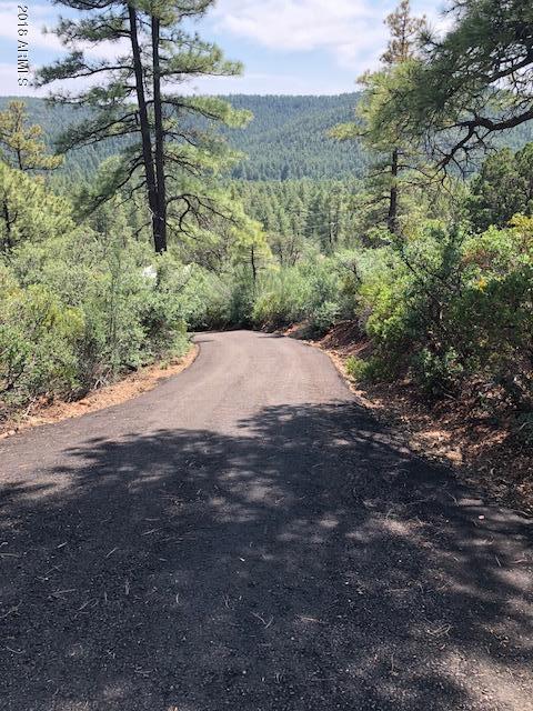9120 W Tomahawk Trl, Pine, AZ 85544 photo 30