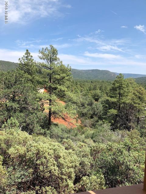 9120 W Tomahawk Trl, Pine, AZ 85544 photo 23