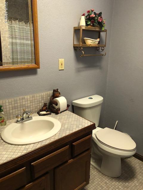 9120 W Tomahawk Trl, Pine, AZ 85544 photo 19