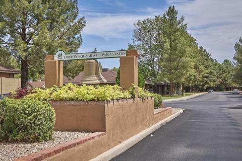 216 N Concord St, Gilbert, AZ 85234 photo 49