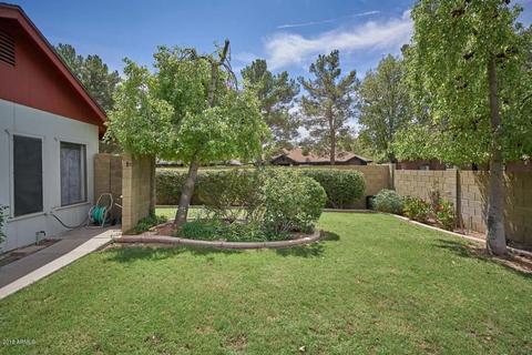 216 N Concord St, Gilbert, AZ 85234 photo 29