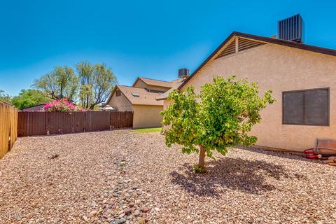 1907 S Williams --, Mesa, AZ 85204 photo 29