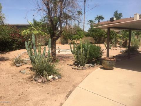 1132 E Glencove St, Mesa, AZ 85203 photo 8