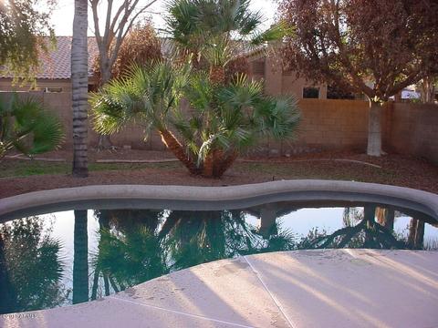 310 S Boulder Ct, Gilbert, AZ 85296 photo 23