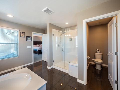 4996 S Forest Ave, Gilbert, AZ 85298 photo 41