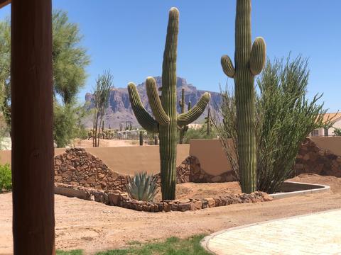 1249 E Canyon St, Apache Junction, AZ 85119 photo 28
