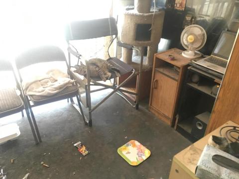 351 E Thomas Rd #D201, Phoenix, AZ 85012 photo 8